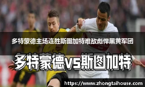 熊猫体育官网