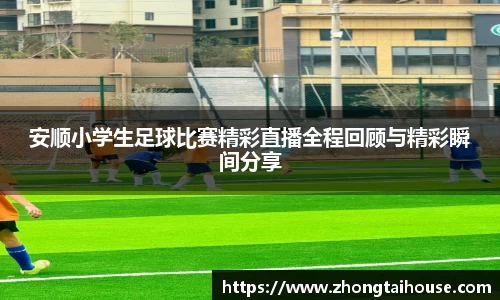 熊猫体育app