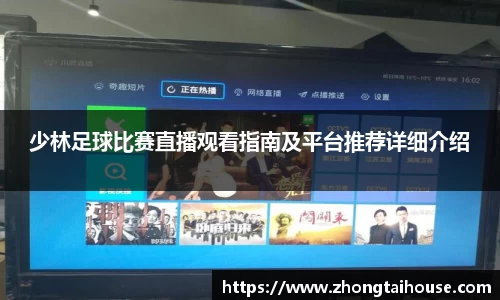 熊猫体育官网