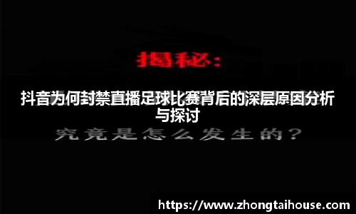 熊猫体育