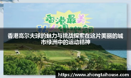 熊猫体育官网
