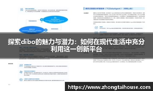 探索dibo的魅力与潜力：如何在现代生活中充分利用这一创新平台