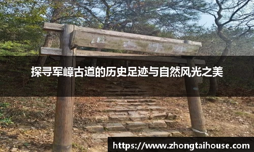 熊猫体育