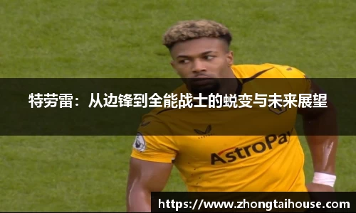 熊猫体育官网